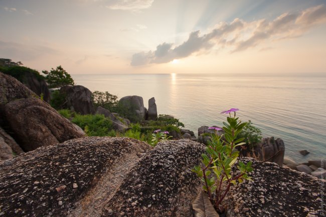 Ко Тао – обетованный остров в Сиамском заливе