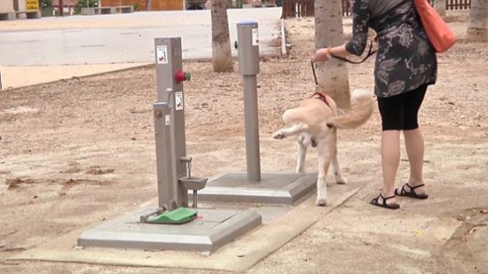 В Испании появились общественные туалеты для собак