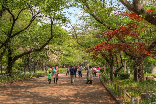 Рейтинг самых красивых городских парков