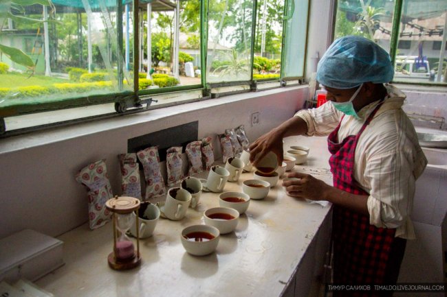Как производят гранулированный чай в Индии