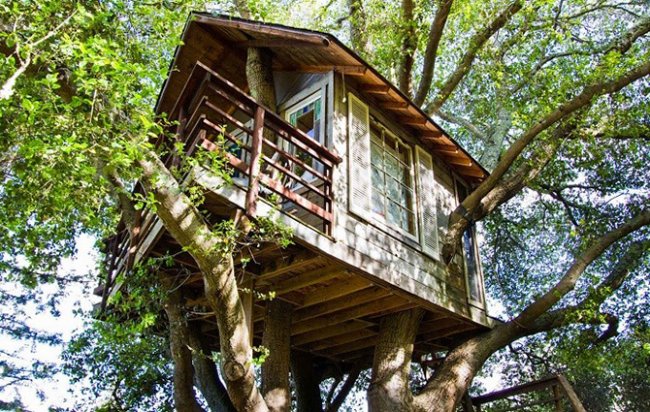 7 самых романтичных домиков на дереве