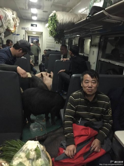 Необычные пассажиры китайского поезда