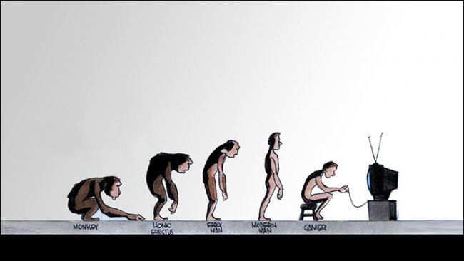 Примеры эволюции в картинках