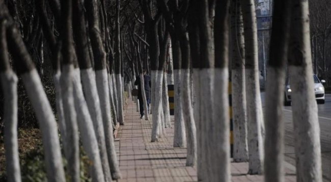 Пешеходный тротуар в Китае