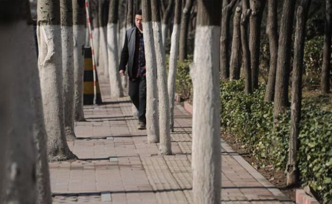 Пешеходный тротуар в Китае