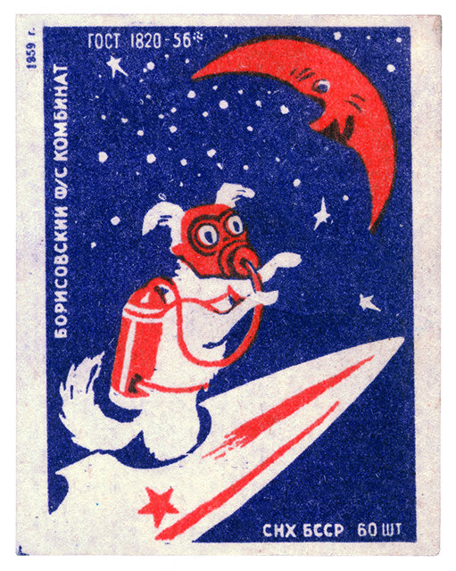Белка и Стрелка – знаменитые советские собаки, которым досталась слава всех животных-космонавтов