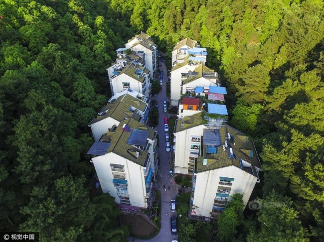 Китайский жилой район посреди леса