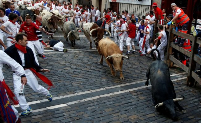 Бега быков в испанской Памплоне