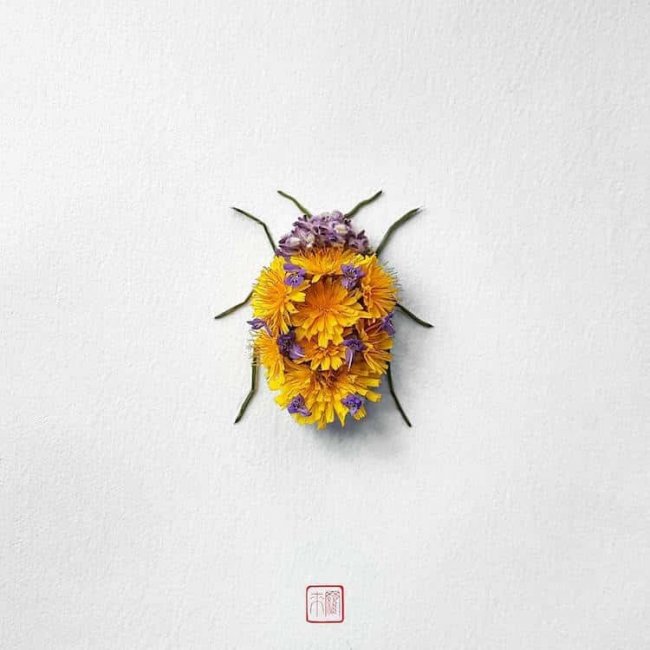Цветочные насекомые от канадского художника