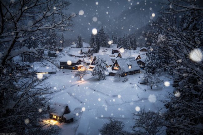 Как выглядит японская зима