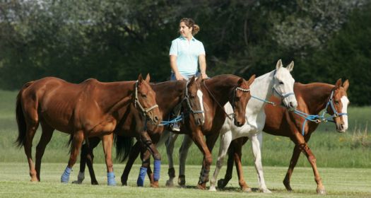 Интересные факты о «короле спорта» – конном поло