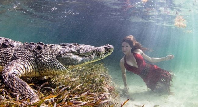 Модели в фотосессии с огромными крокодилами