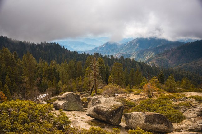 Национальный парк «Секвойя» в Калифорнии