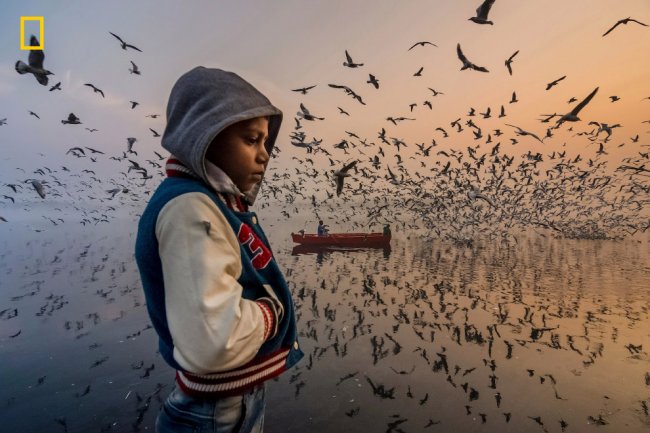 Победители конкурса фотографий National Geographic Travel Photographer 2019