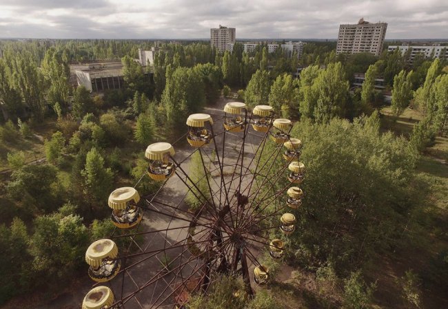 Дикие животные в зоне отчуждения Чернобыля