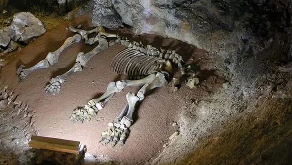 Пещеры – вторая родина человечества? Интересные находки подземелий при строительстве дороги в Крыму