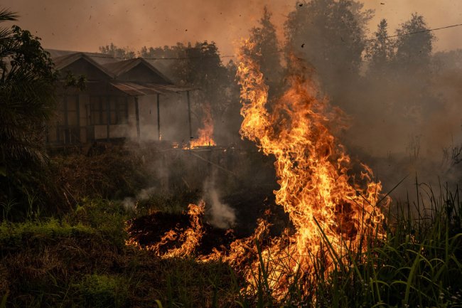Пожары в Индонезии 2019