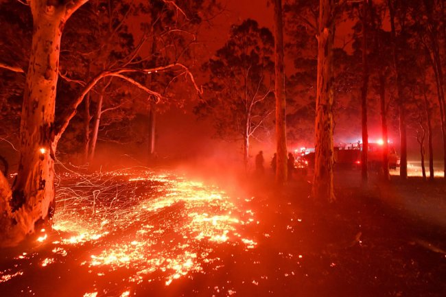 Пожары в Австралии 2020