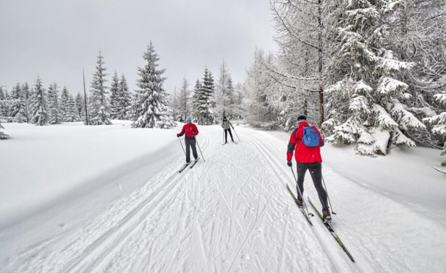 Лыжникам на заметку: самые большие лыжные трассы России