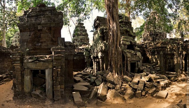 Камбоджийский храм Та Пром (Ta Prohm) и гигантские деревья