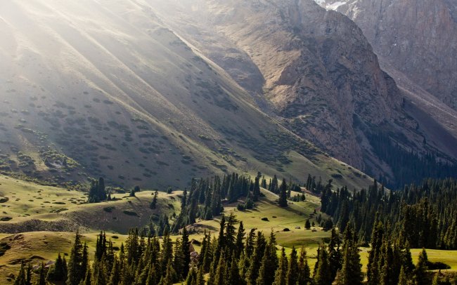 Горная долина Джууку и киргизско-альпийские луга
