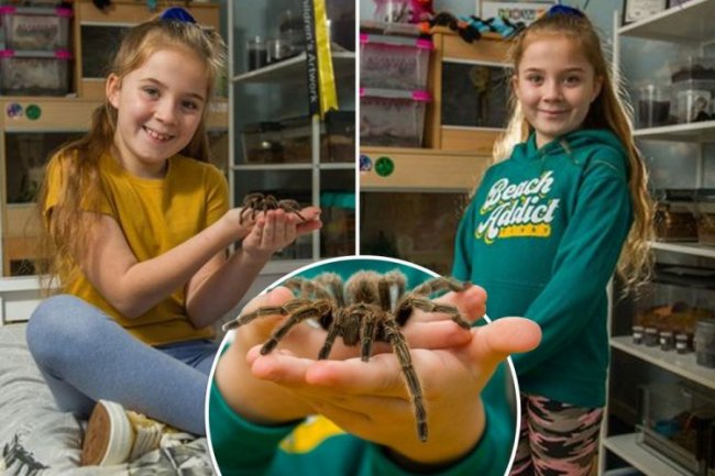 8-летняя девочка делит спальню с 50 тарантулами