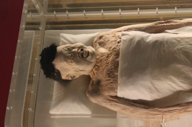 2200-летняя мумия, в чьих венах до сих пор есть кровь
