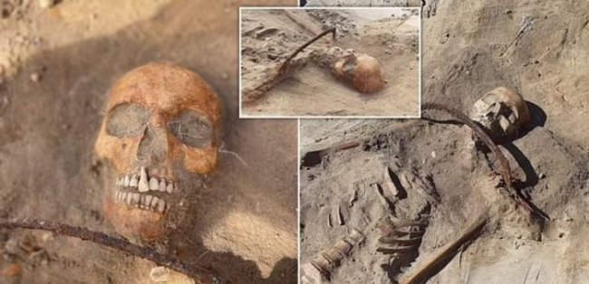 В Польше нашли могилу девушки «вампира» из XVII века с приставленным серпом ...