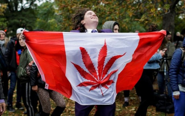 На долю курильщиков марихуаны пришлось 43% нетрезвых водителей в Канаде