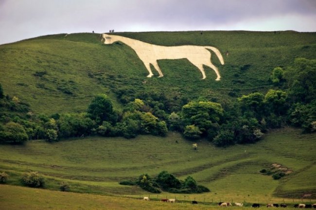 Белая лошадь: рисунок на холме, покрытый тайнами