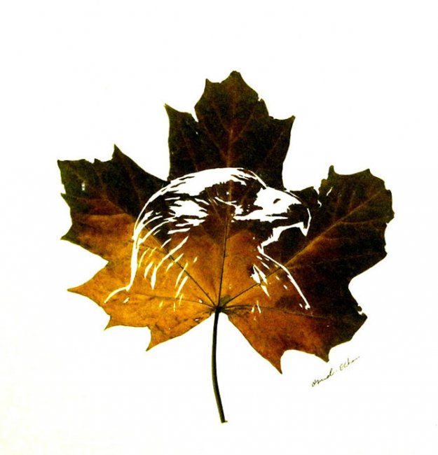 Потрясающие “картины”, вырезанные из обычных опавших листьев