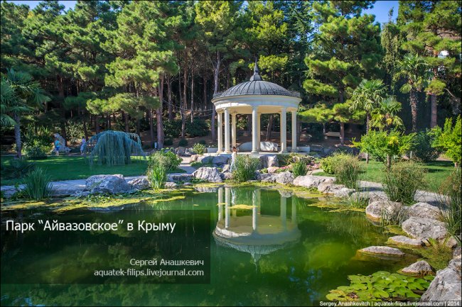 Прогулка по парку «Айвазовское» в Крыму