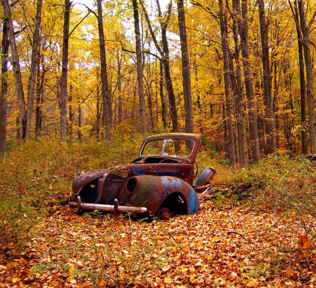 50 красивых фотографий осени по всей Америке