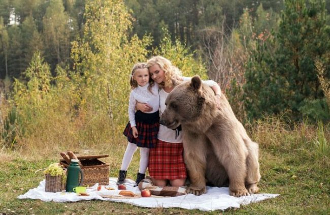 Фотосет пикника с медведем