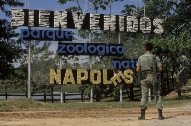 Как выглядел домашний зоопарк Пабло Эскобара